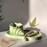 Shell Trinket Dish (2 pcs)